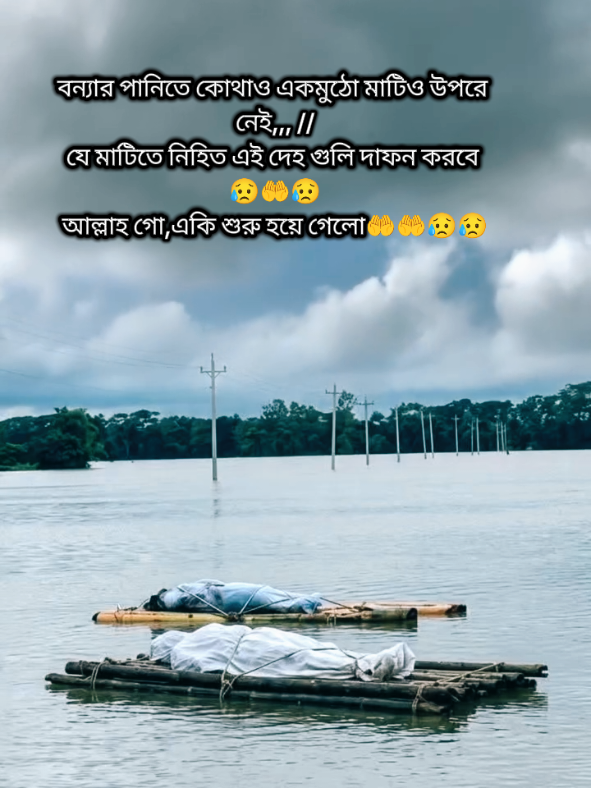 @꧁༺ মায়ার বাঁধন ༻꧂