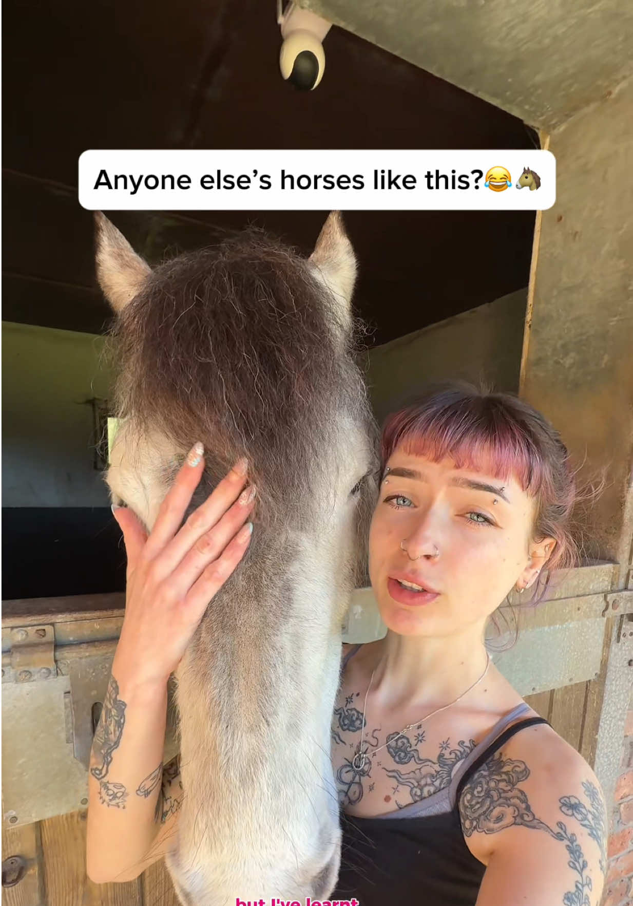 @molly & the greys