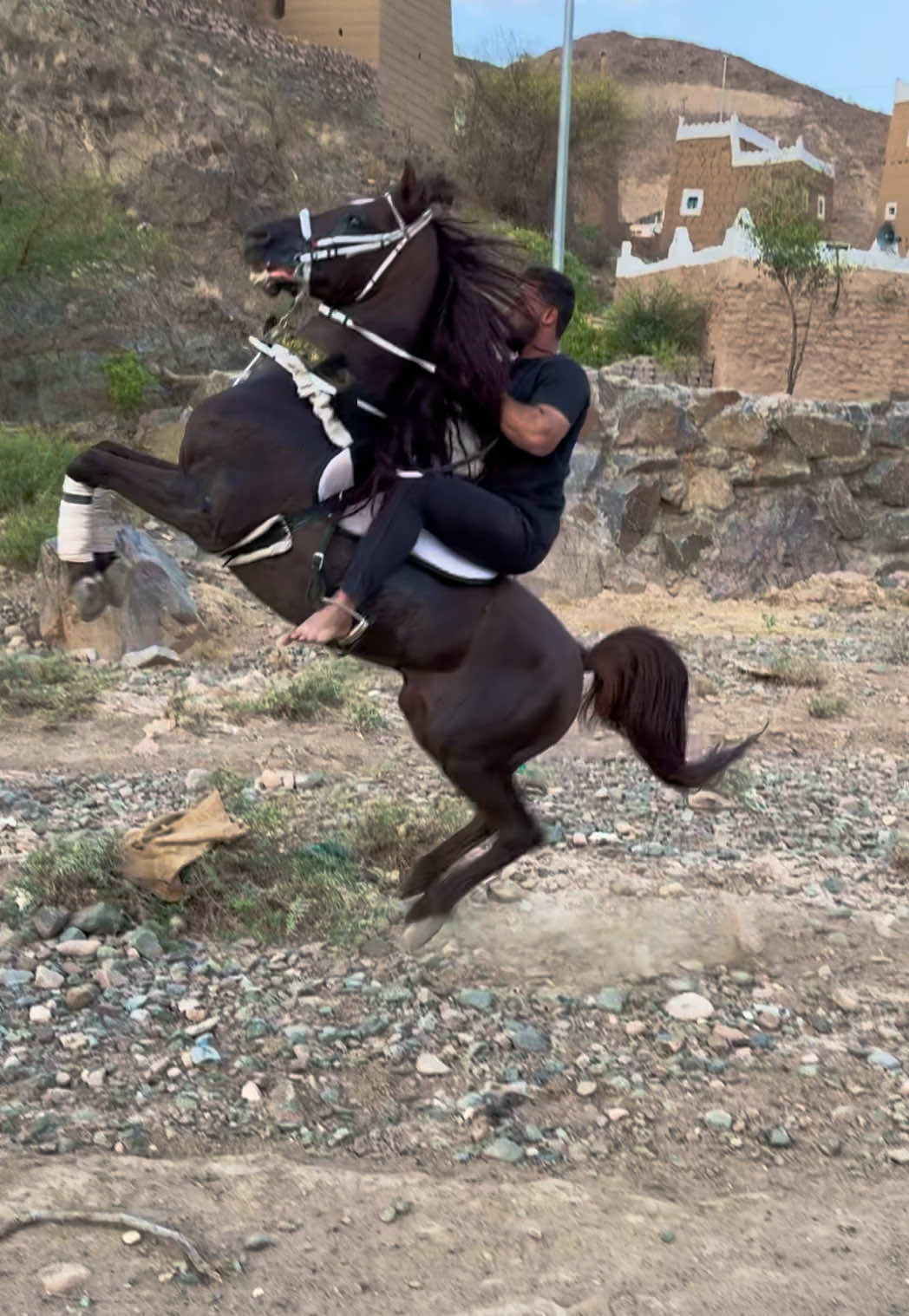 @بـاسـل الـوادعـي⭐️🐎
