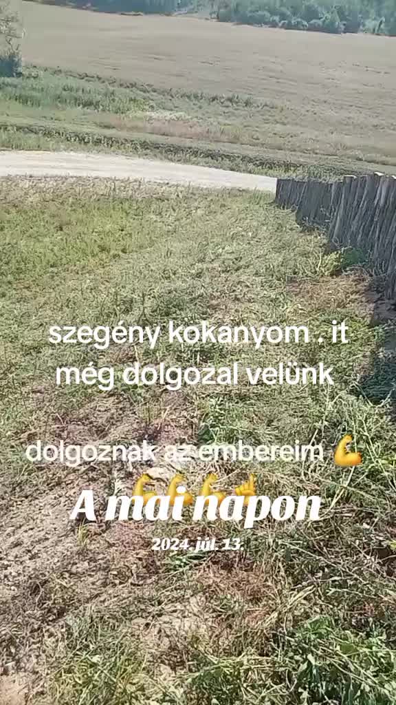 @Kovács Ádám