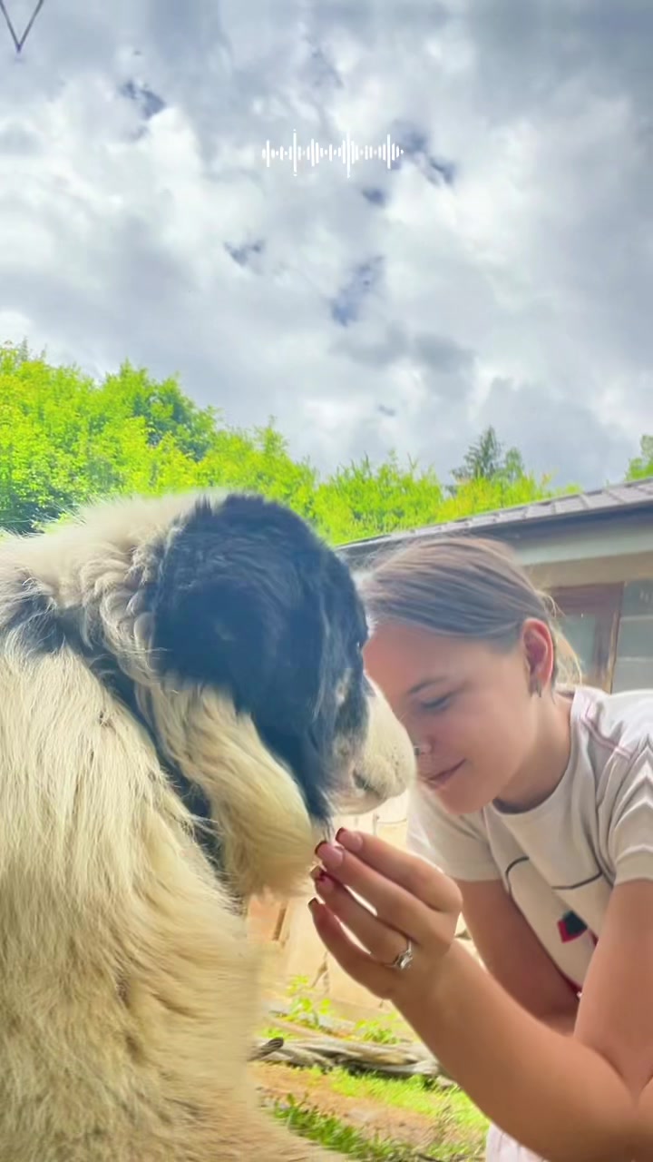 @GARAVUŠA🖤😉