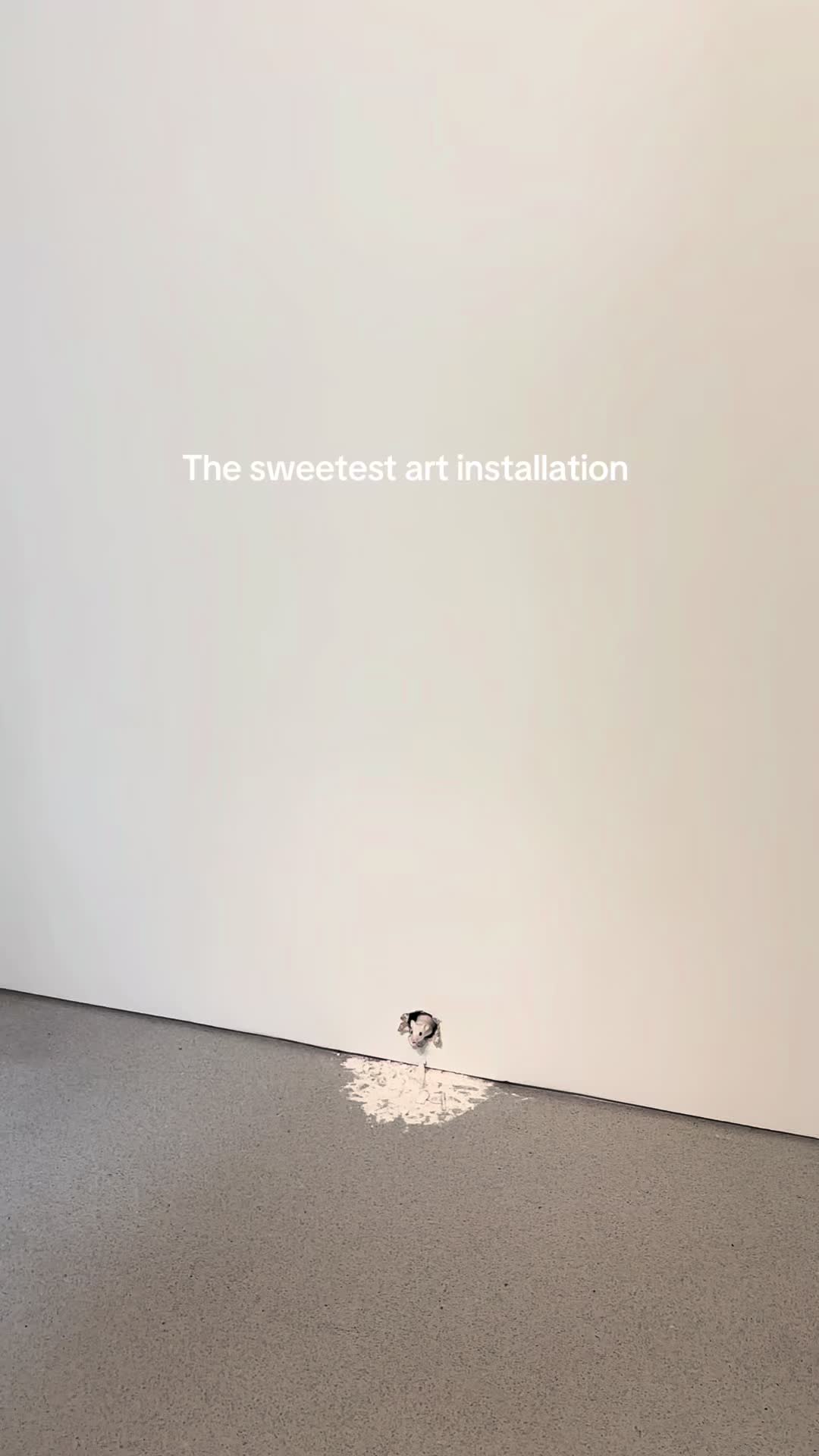 @2NL