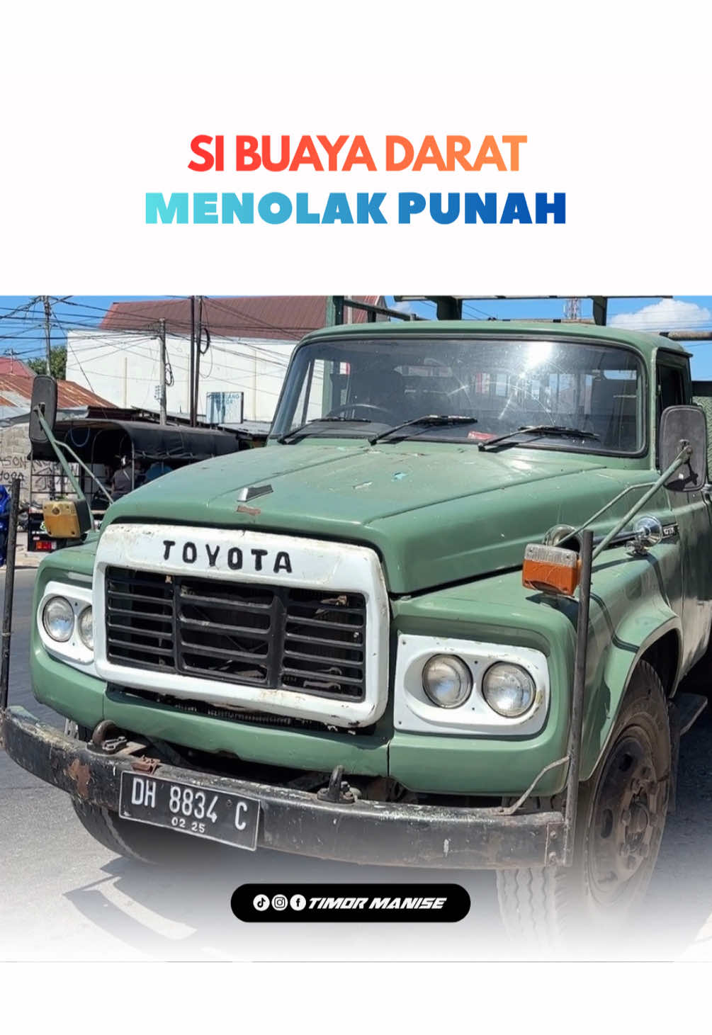 @timor manise