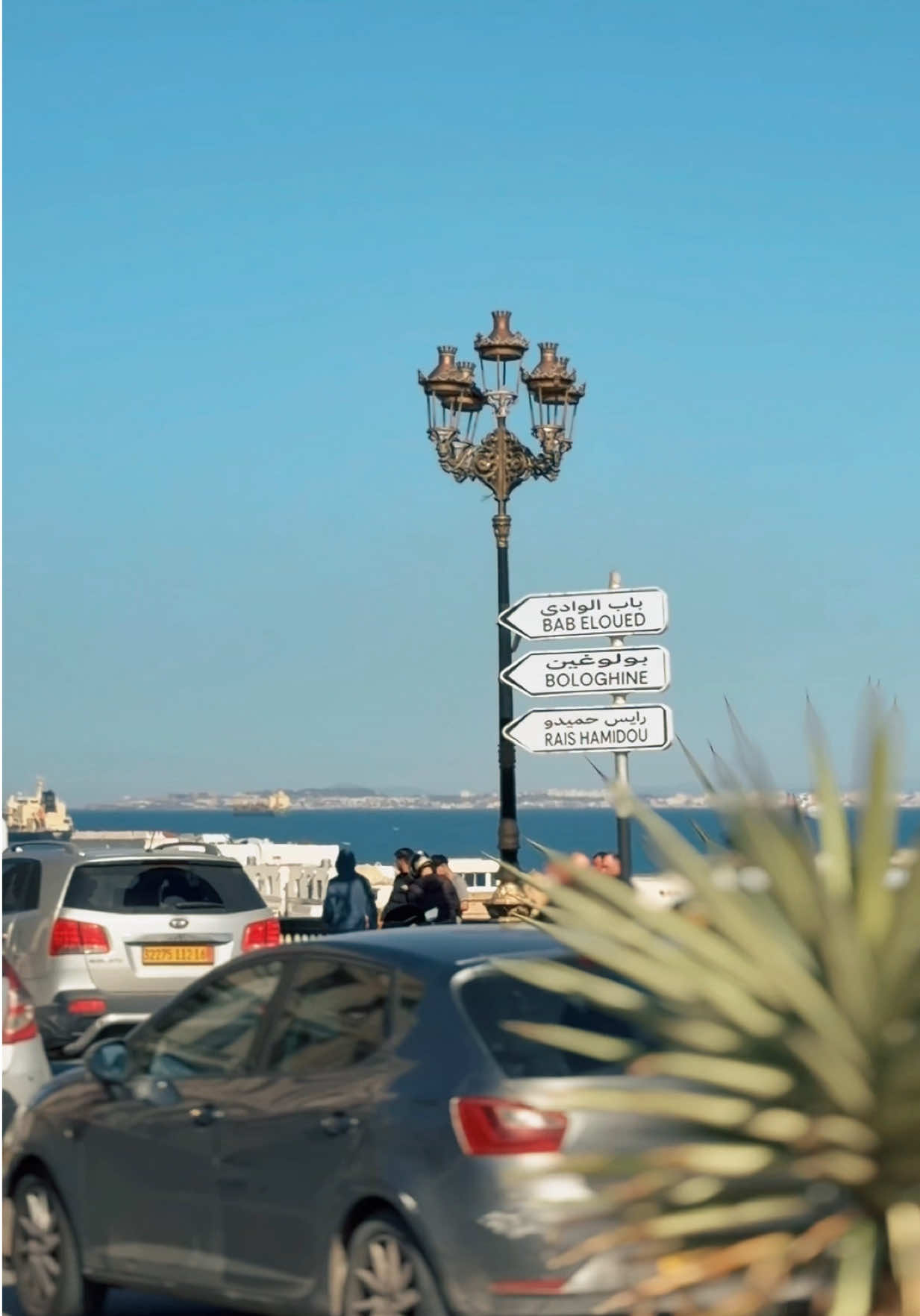 @Madin’Alger 🇲🇶✈️🇩🇿