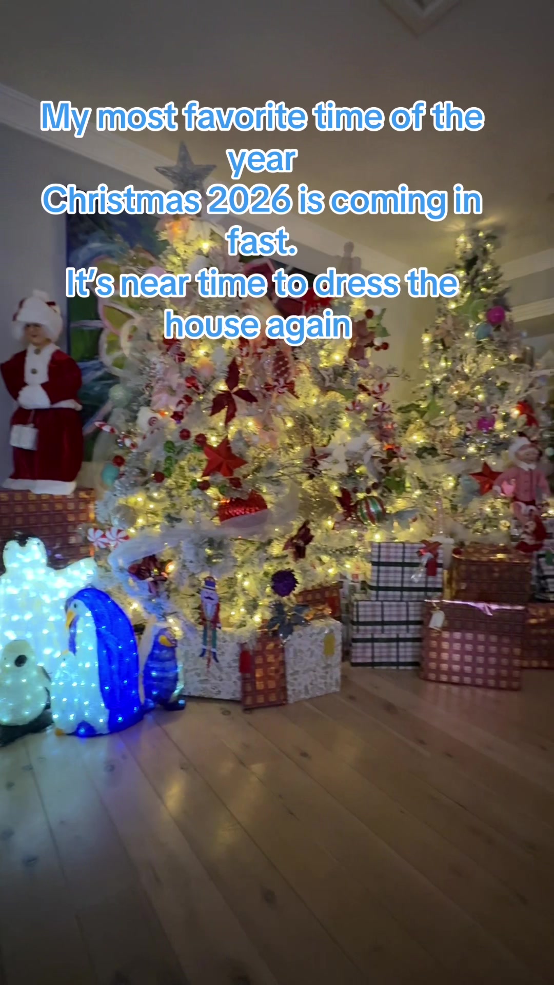 @๐โจ๐คถ Mrs Claus ๐คถโจ๐