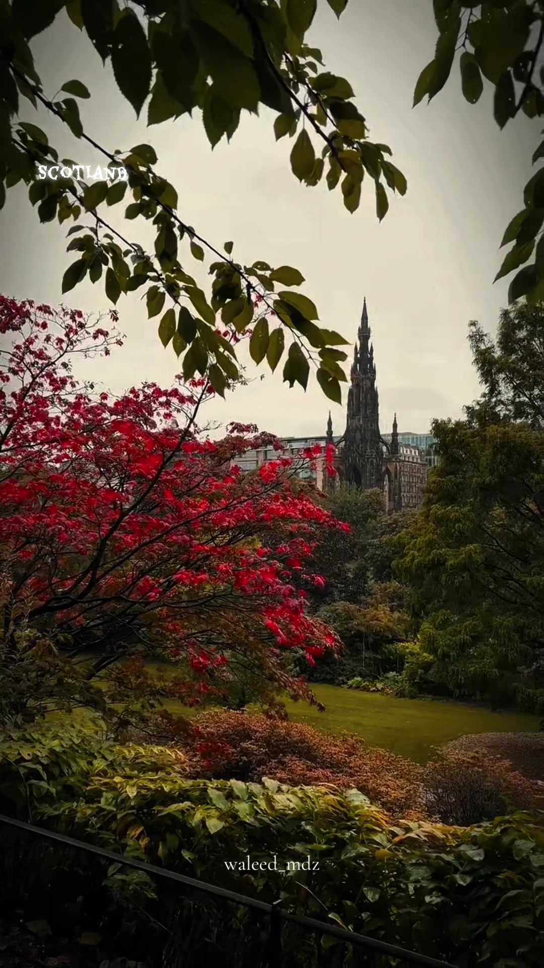 @scotlandbeauty41