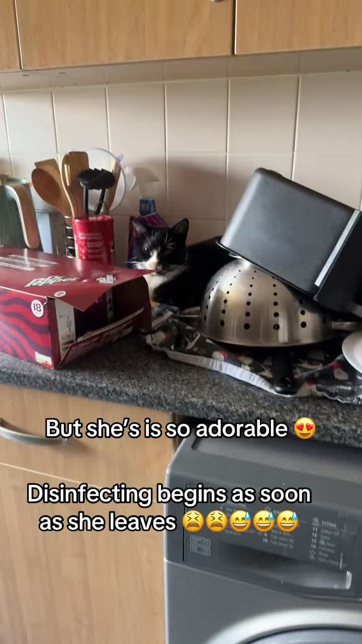 @Paigeyy