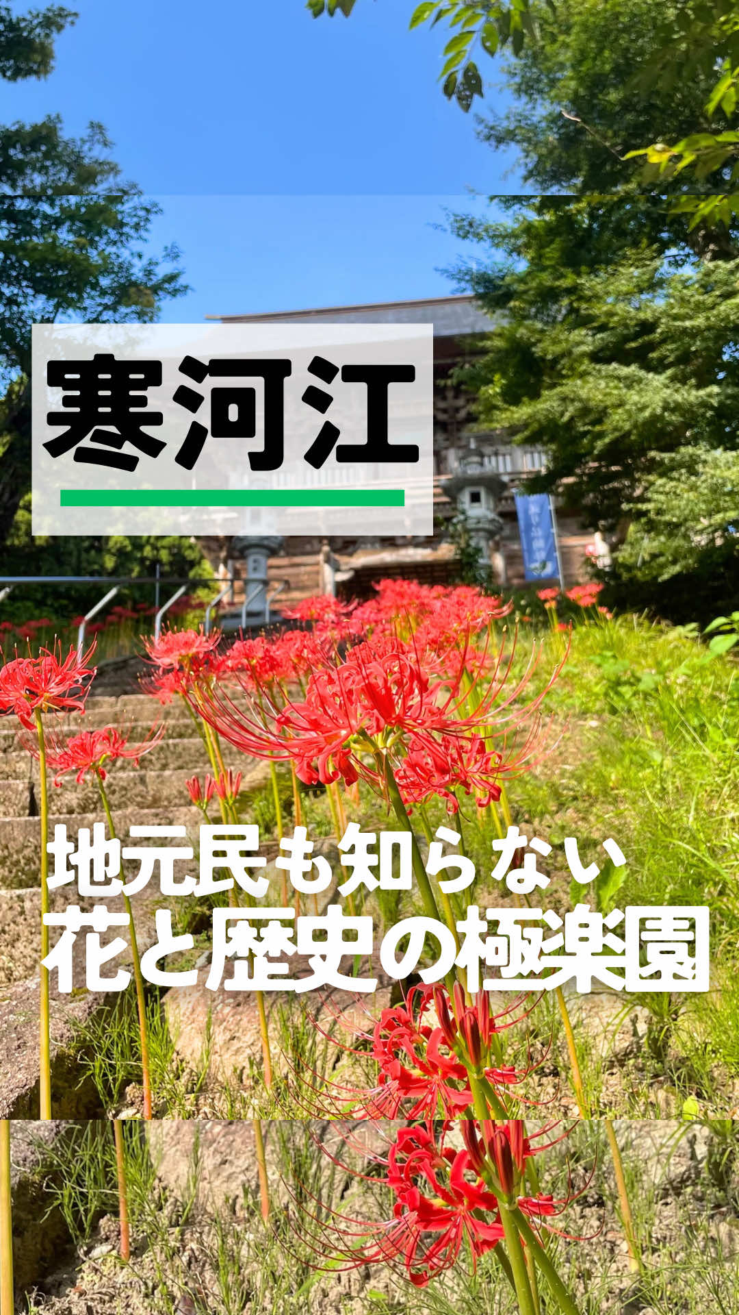 @しん｜山形グルメ　観光