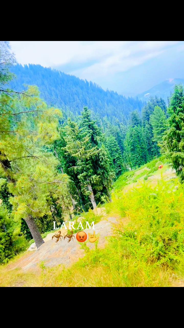 @Riaz 302