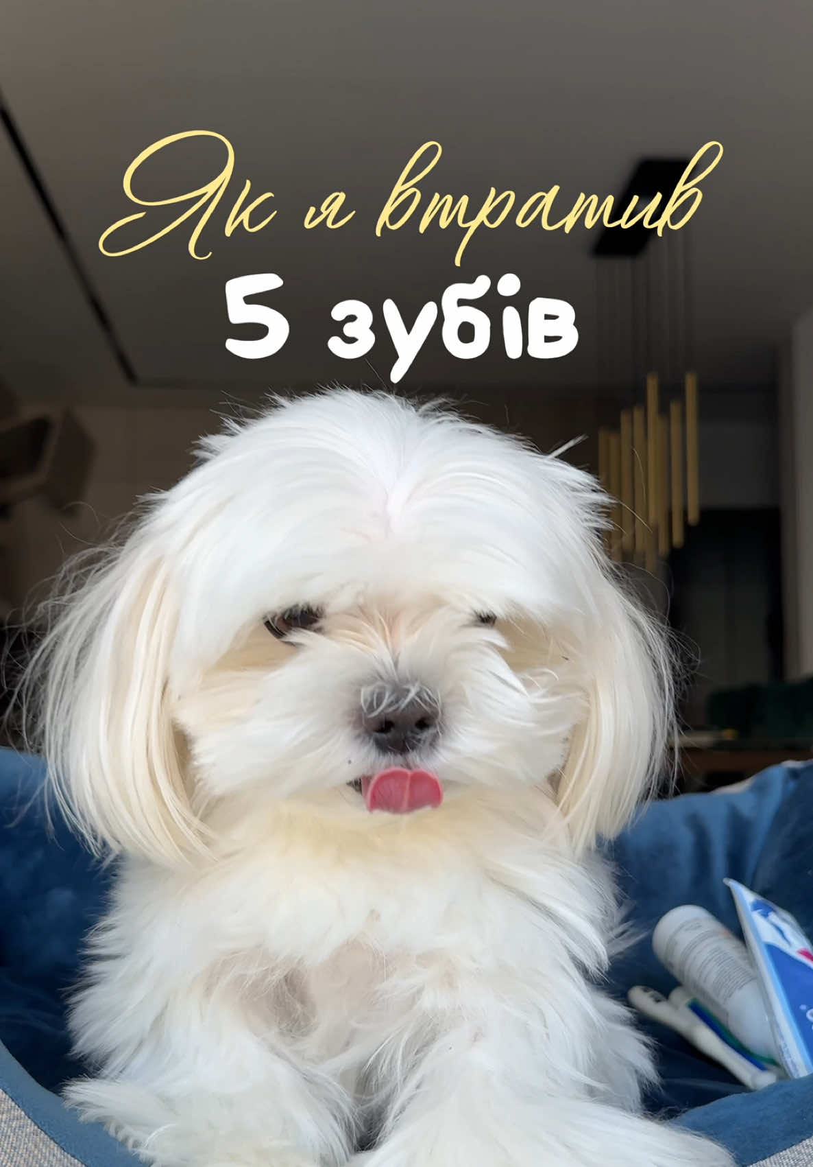 @I'm Eti 🐶🇺🇦