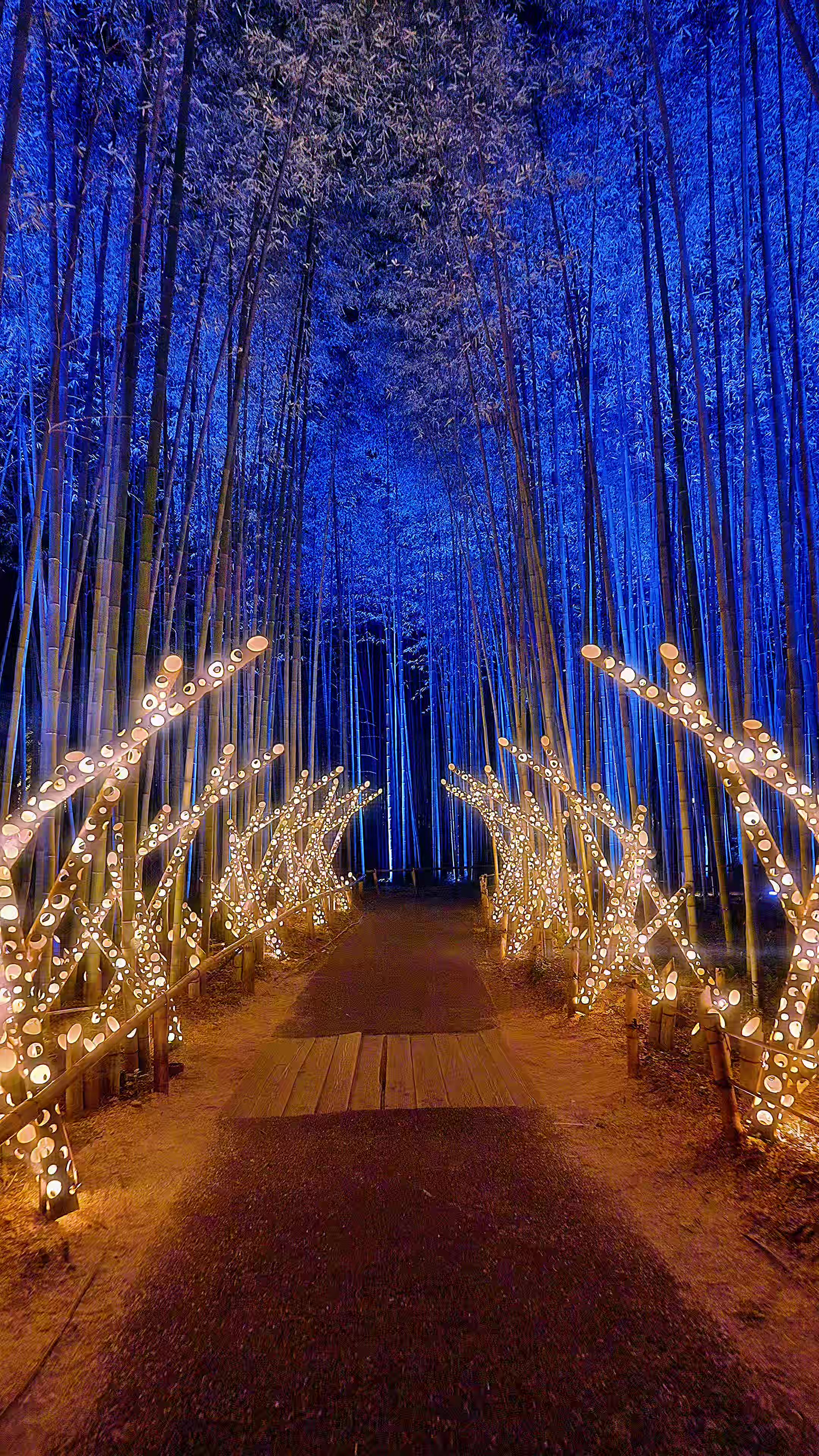@Japan Walker