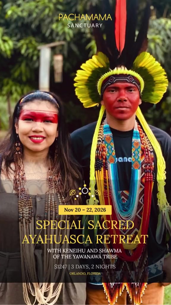 @Pachamama Ayahuasca Sanctuary