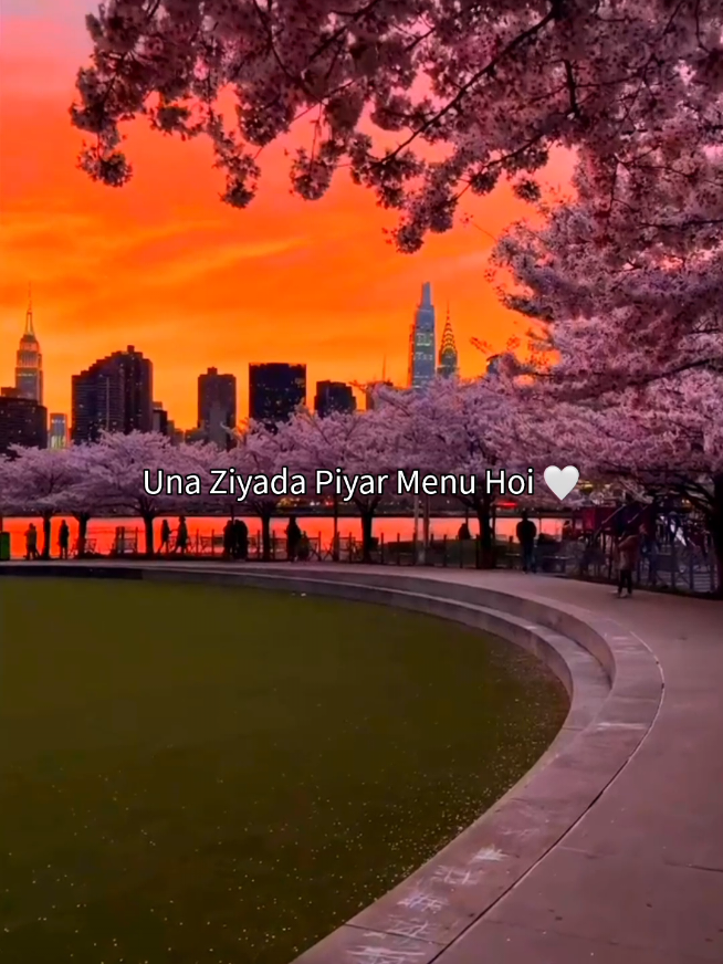 @𝗦𝗼𝘂𝗹𝗳𝘂𝗹 𝗖𝗹𝗶𝗽𝘀 🌙
