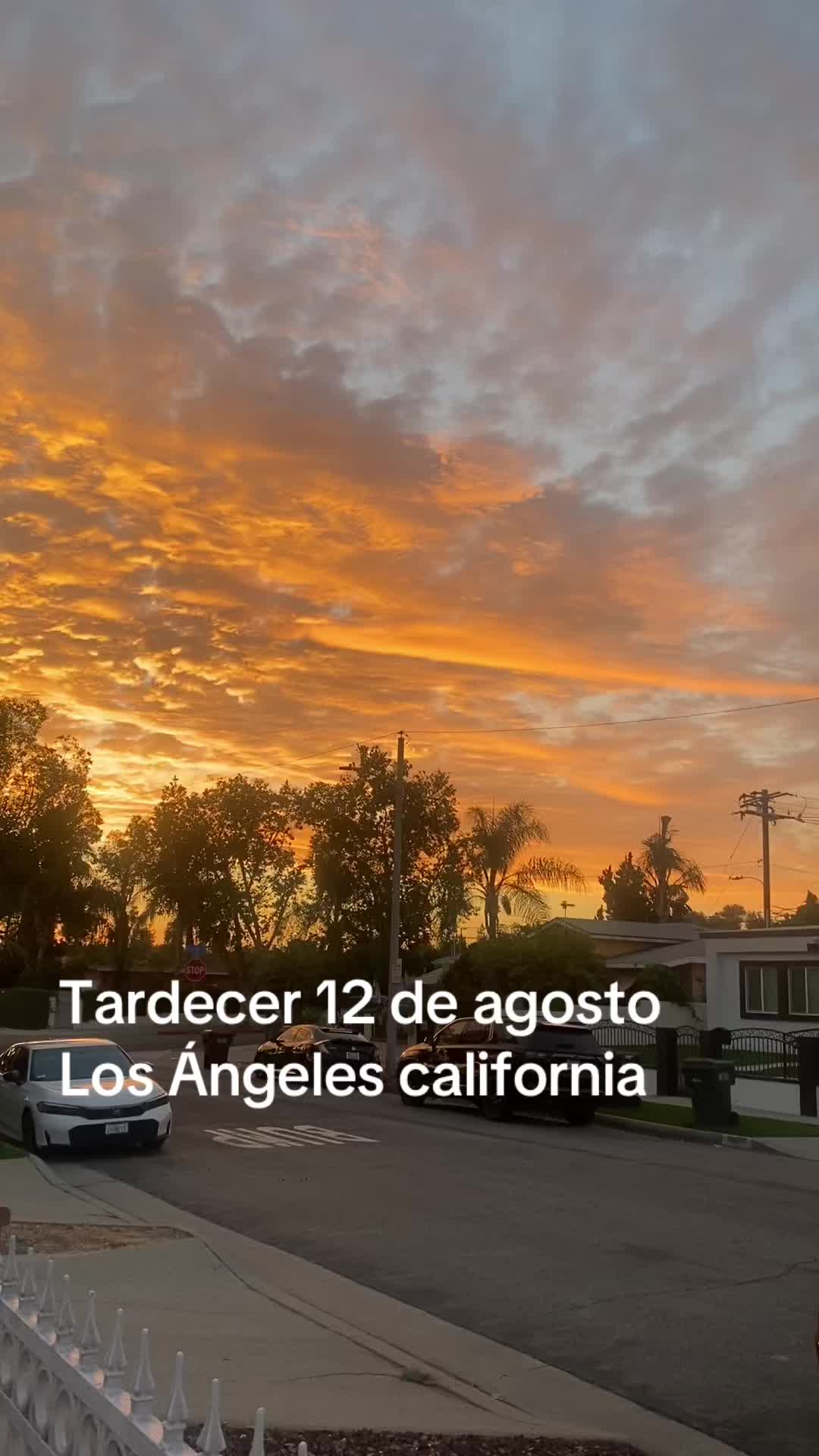 @lorenacampos3223