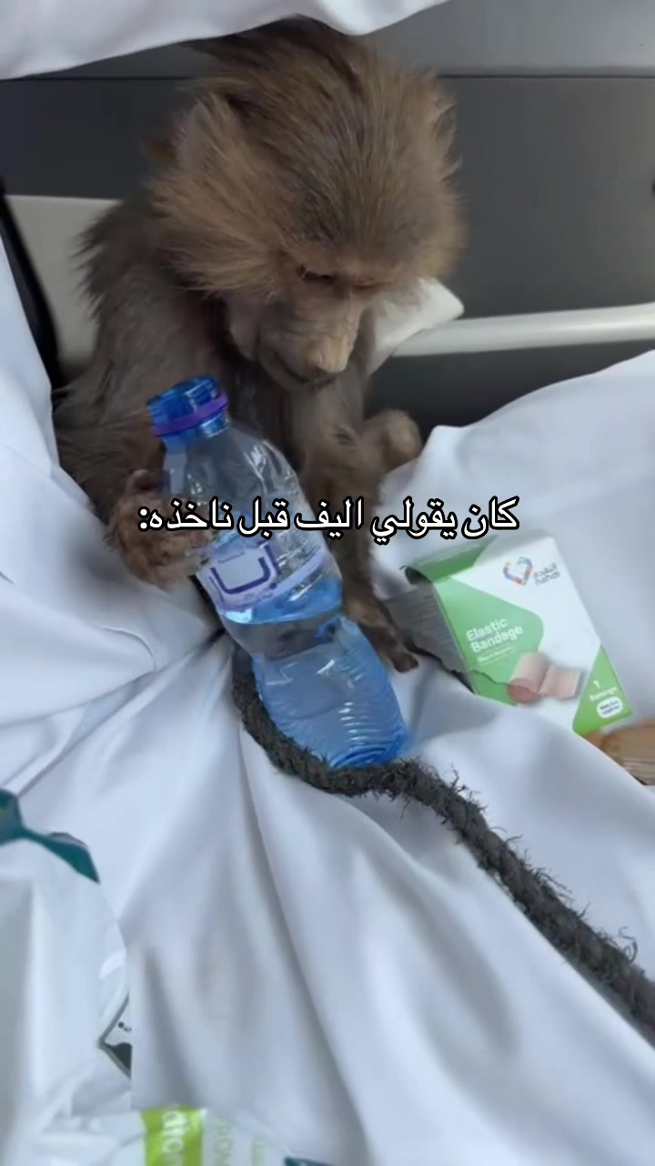 @فارس الشمري