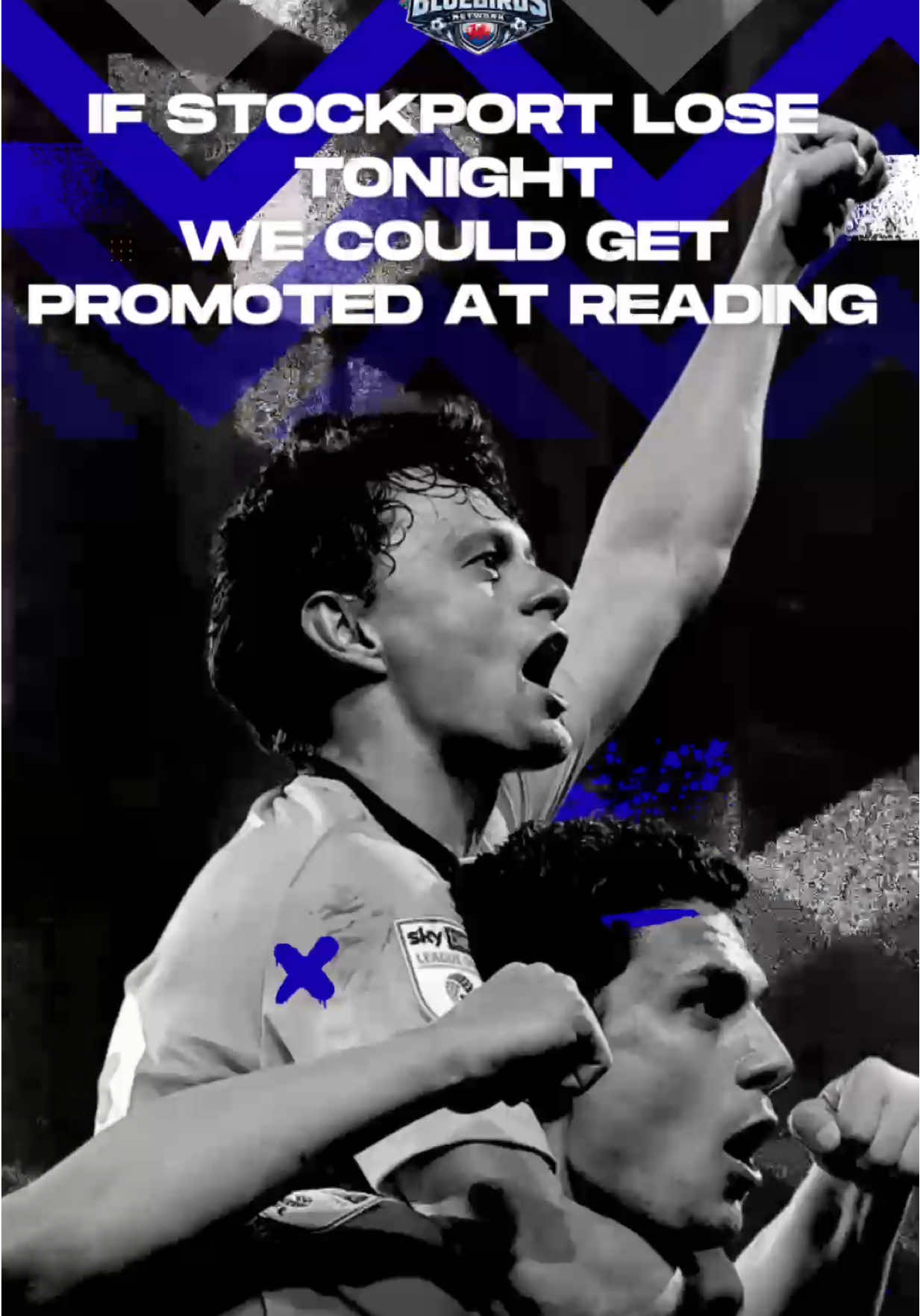 @The Bluebirds Network