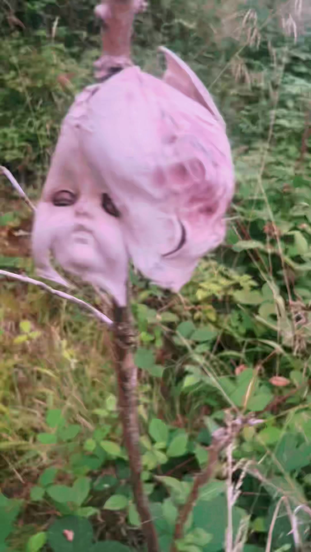 @mikiyorkghosthunter