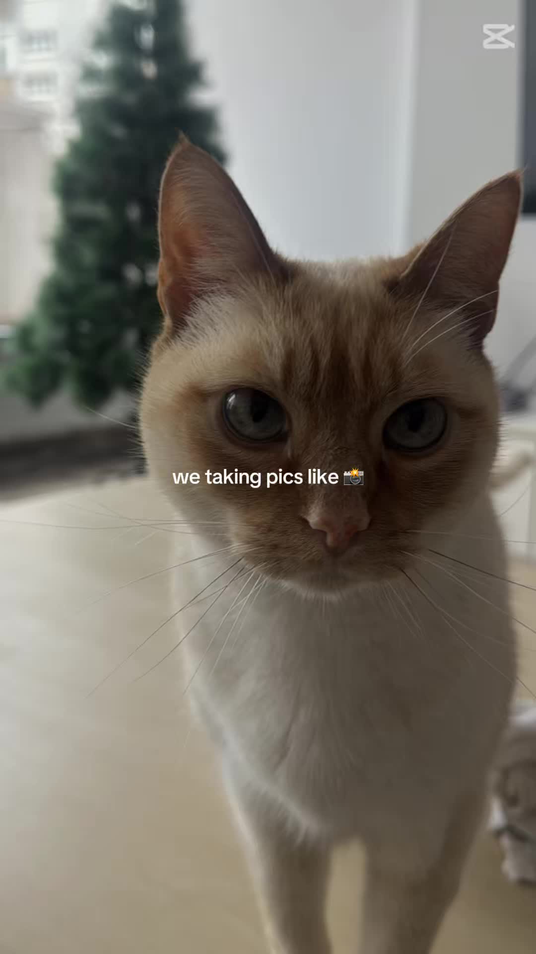 @Javiera 🌶️ 🪩