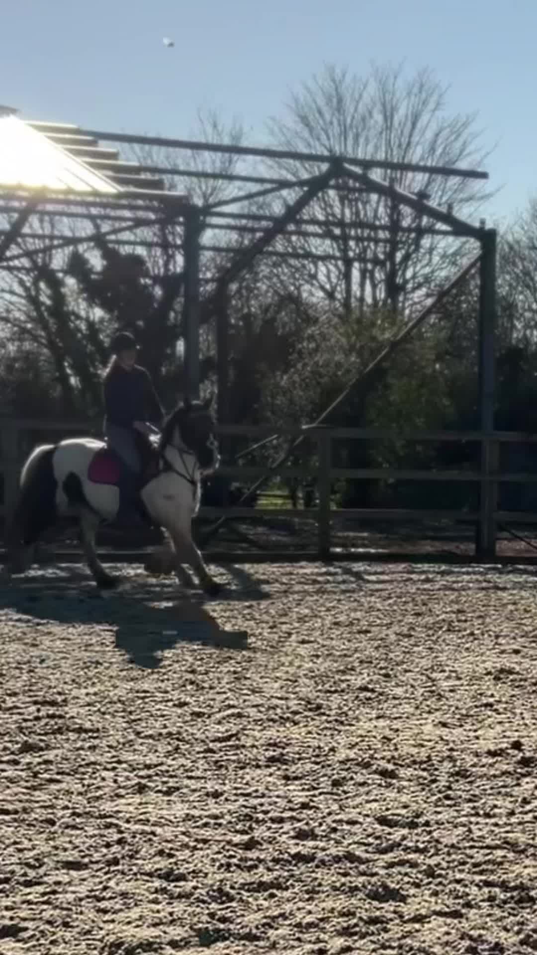 @kiki_and_kicks