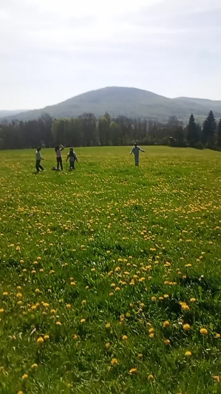 @Amin Sadqi