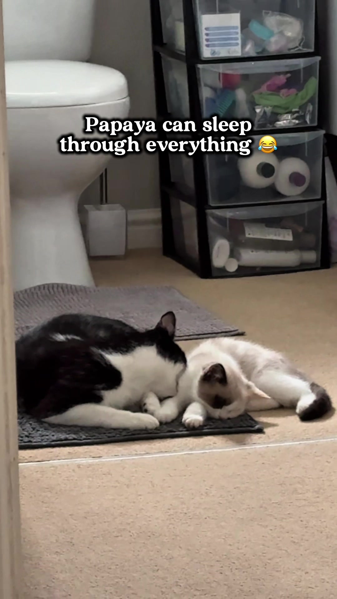 @slavic_cat_mum