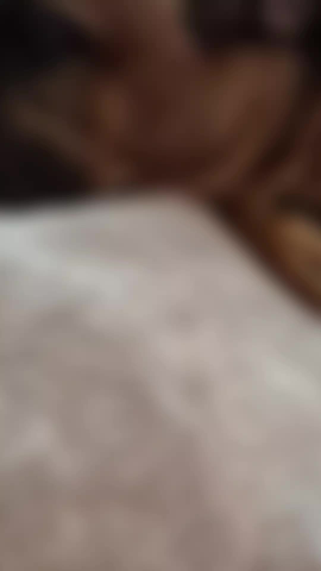 @cookie.dog7