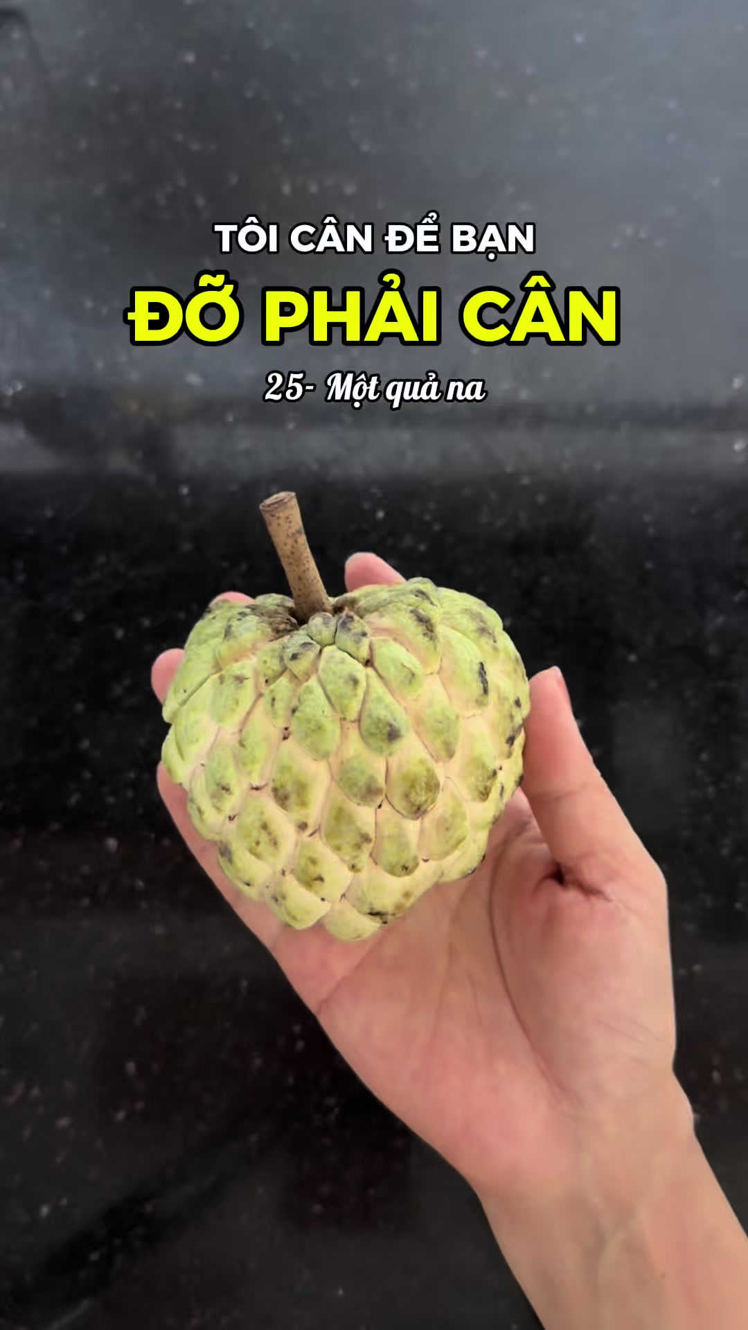 @Phương Ở Đây - Caloer