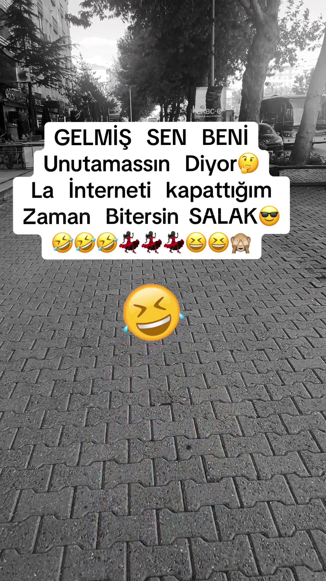 @✨🤍Ayliz_S🤍✨