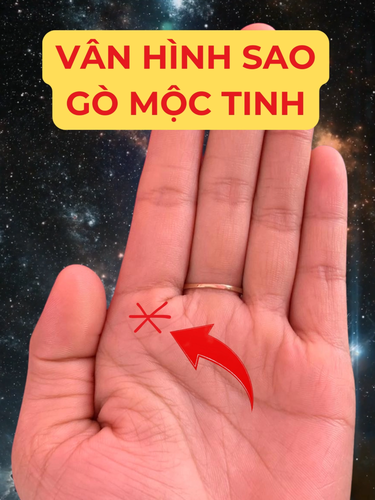 @Học Xem Chỉ Tay