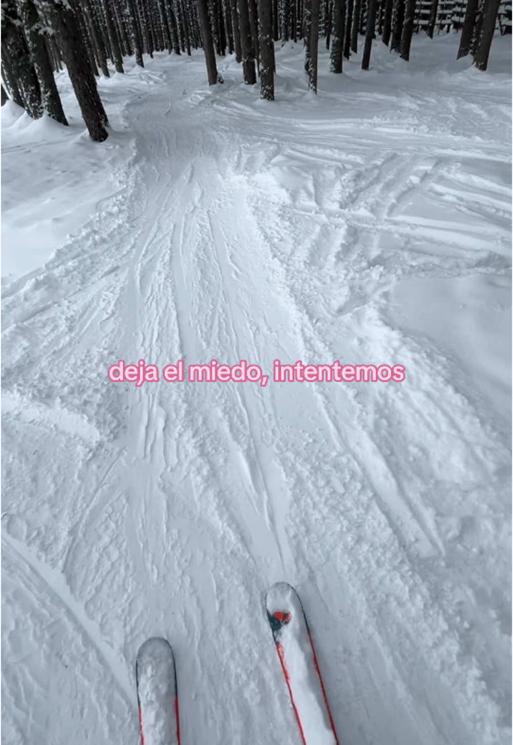 @𝓶𝓮𝓻𝔂