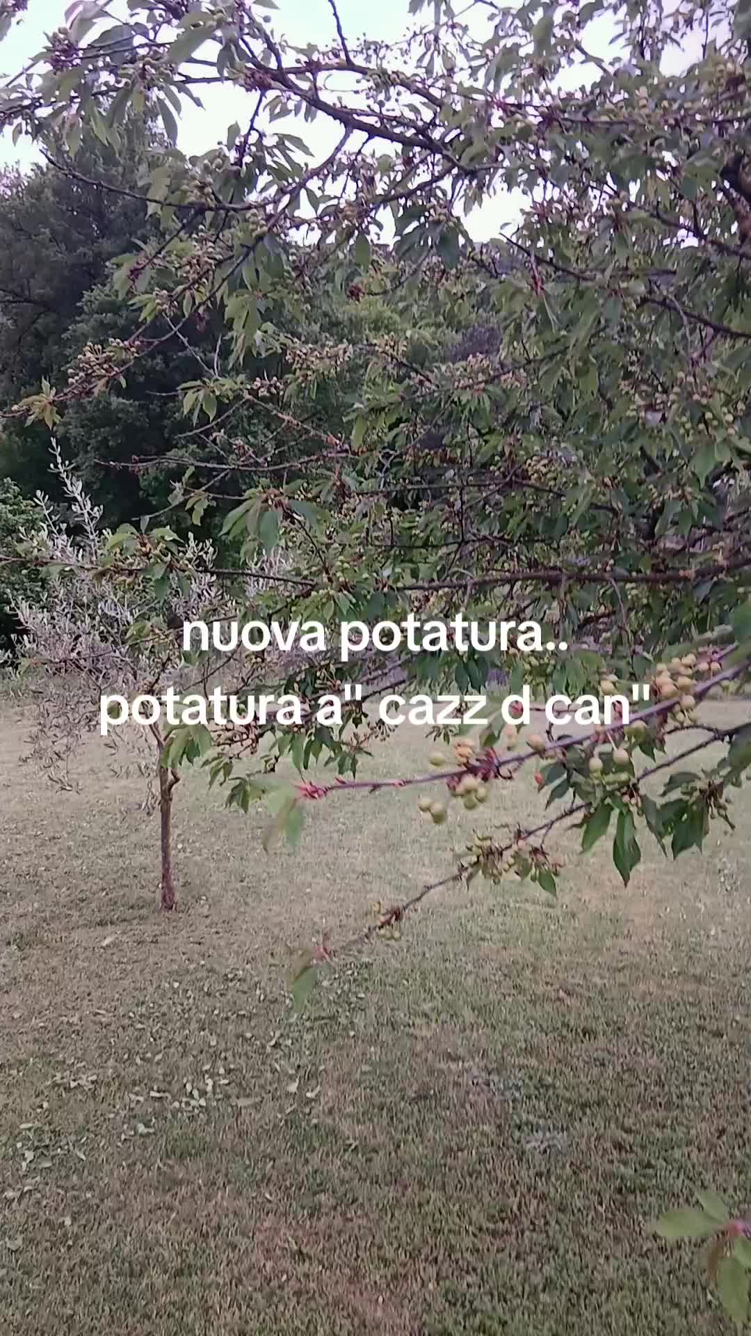 @Gabriele Rossi