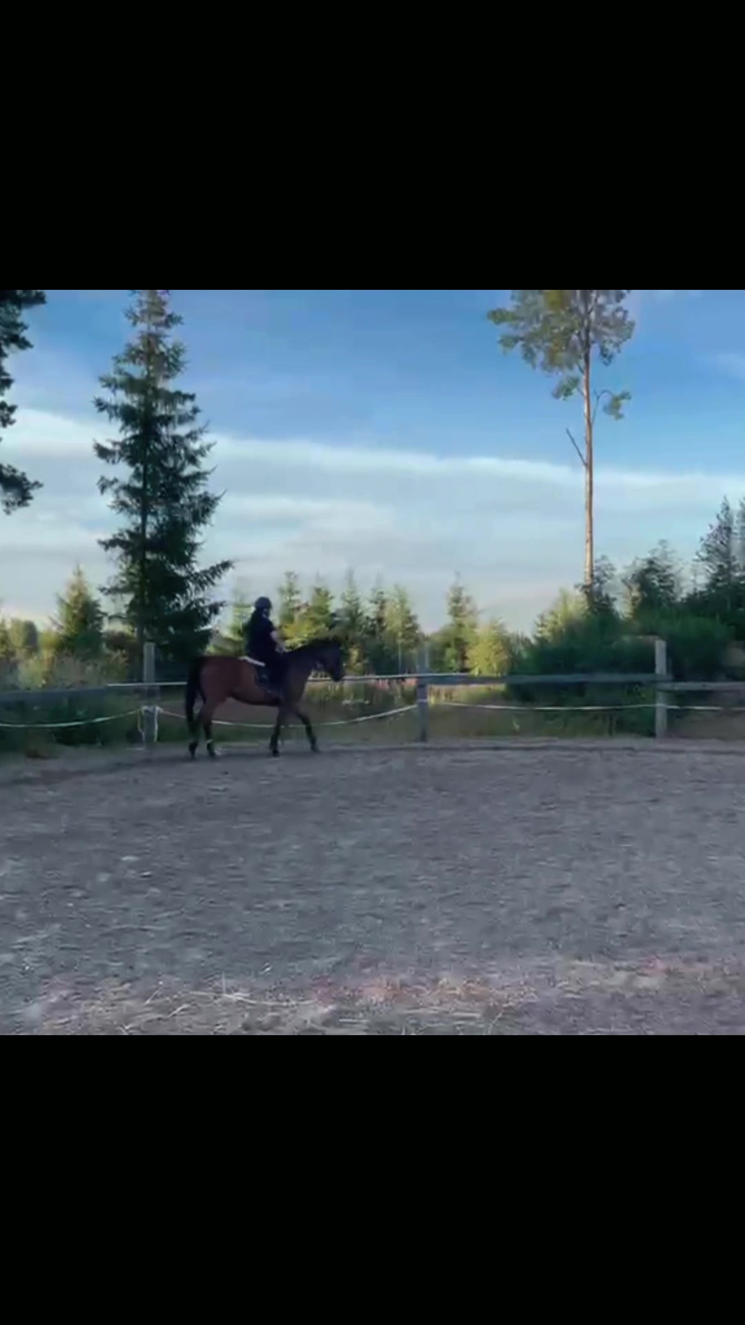 @Ponirannan talli🇫🇮🐎