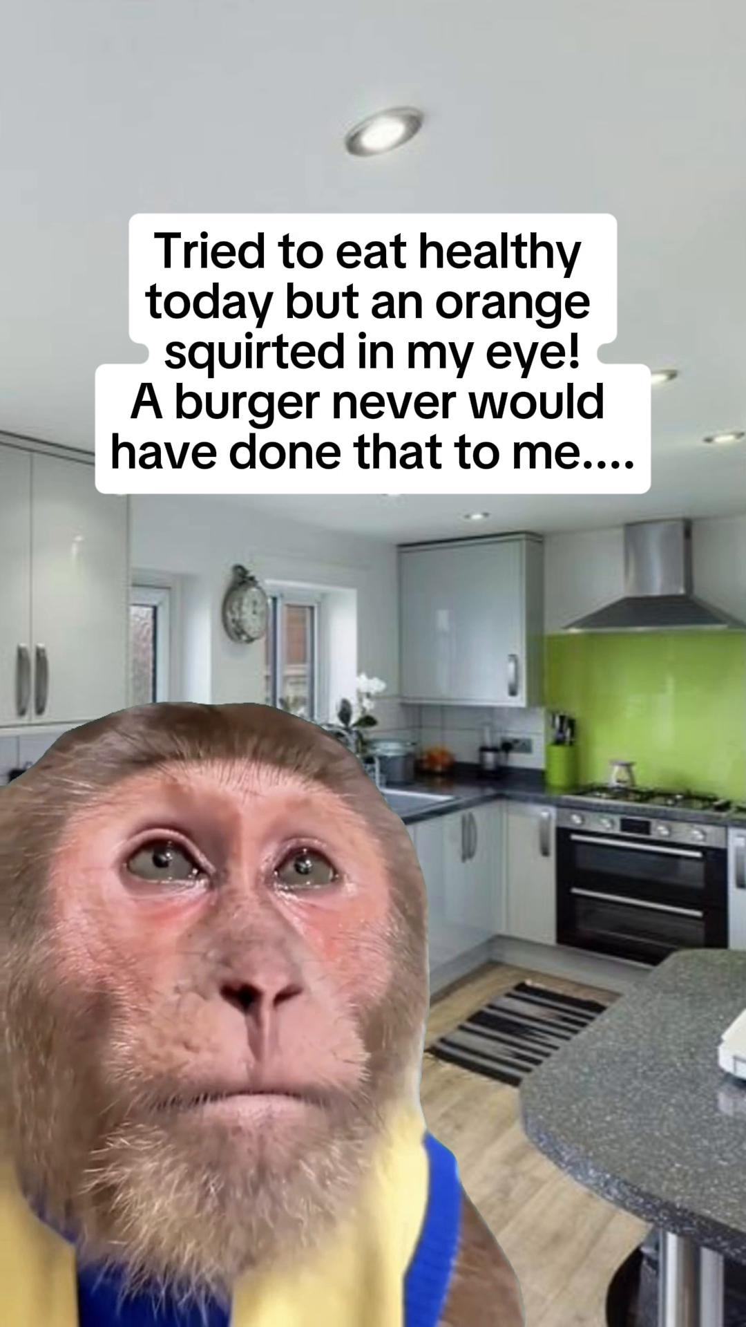 @SJ