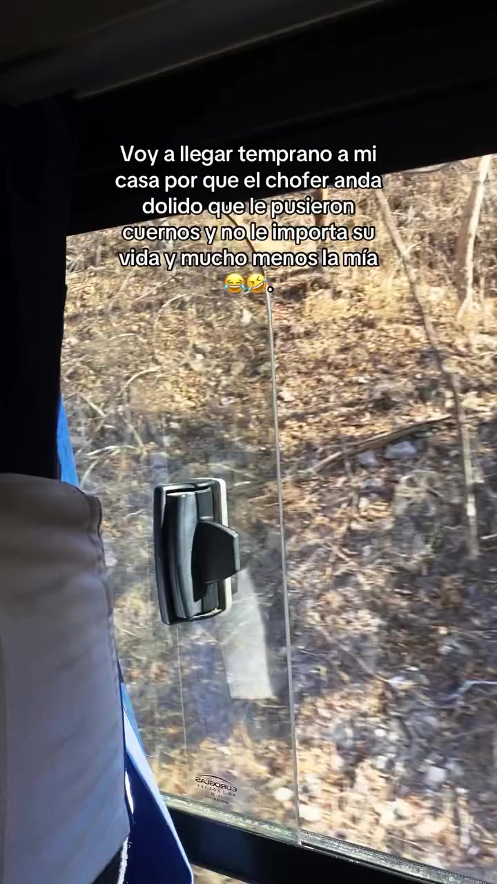 @lia32