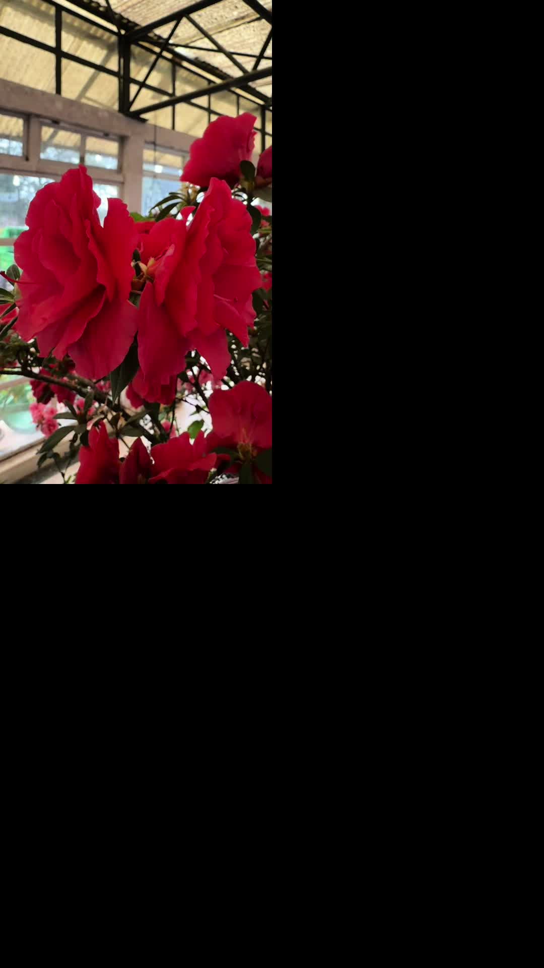 @punamsharma050