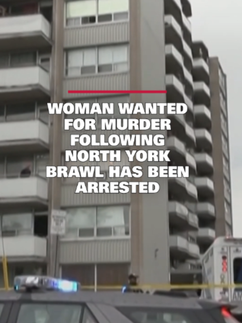 @cp24