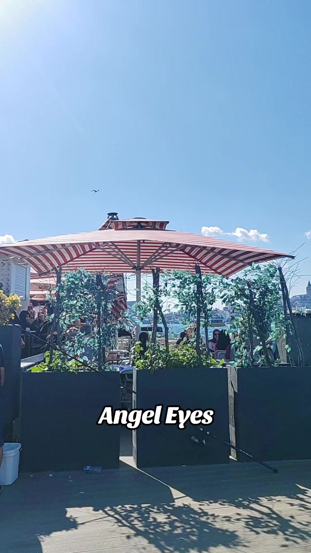 @Angel Eyes
