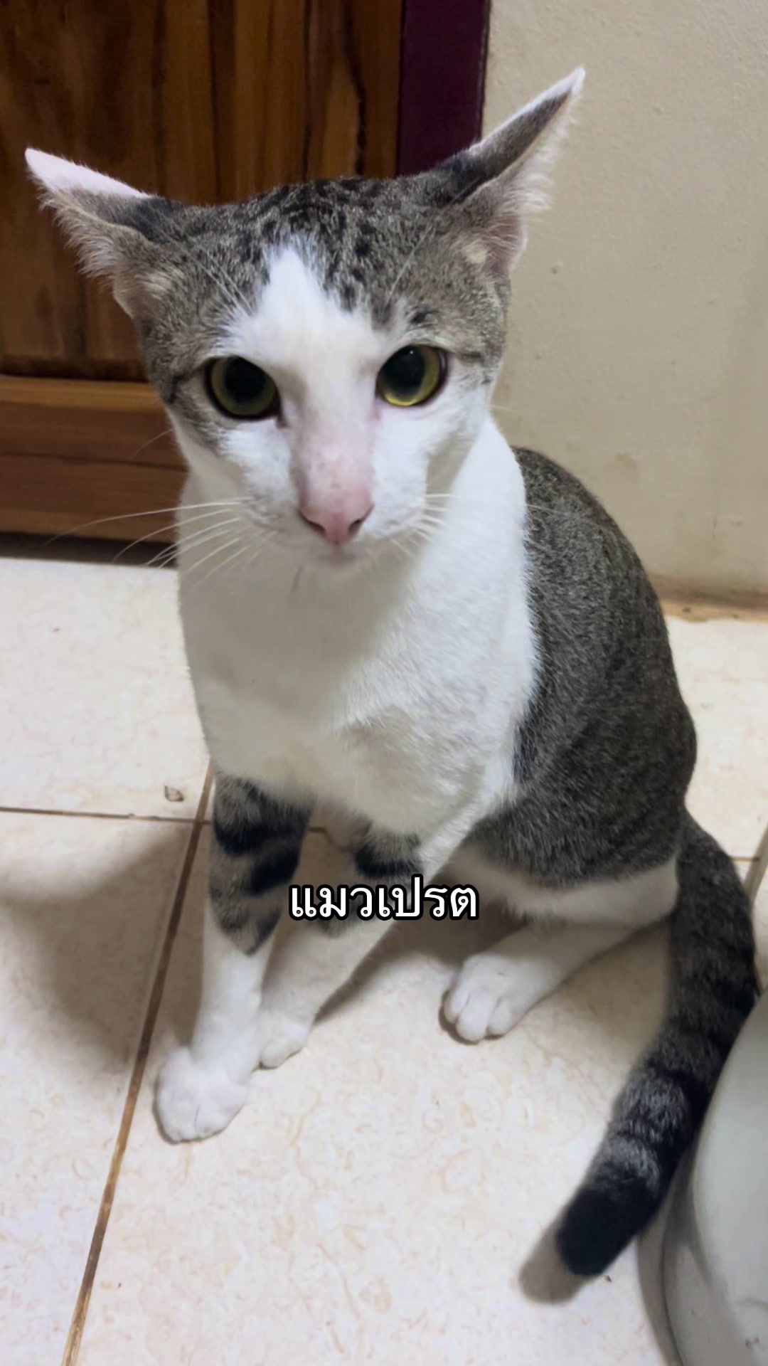 @ຕ່າຕ້າ😊