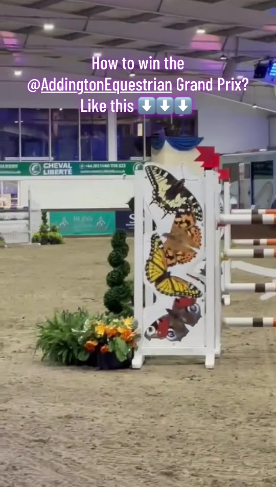 @markedwardsshowjumping