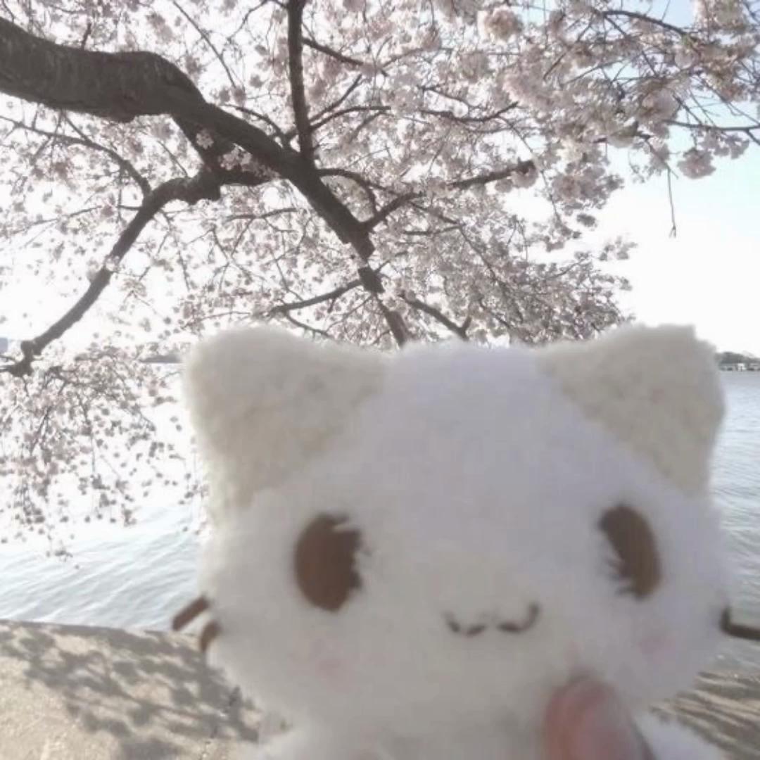 @ℒ𝓊𝓍 ˚˖𓍢ִ໋❀
