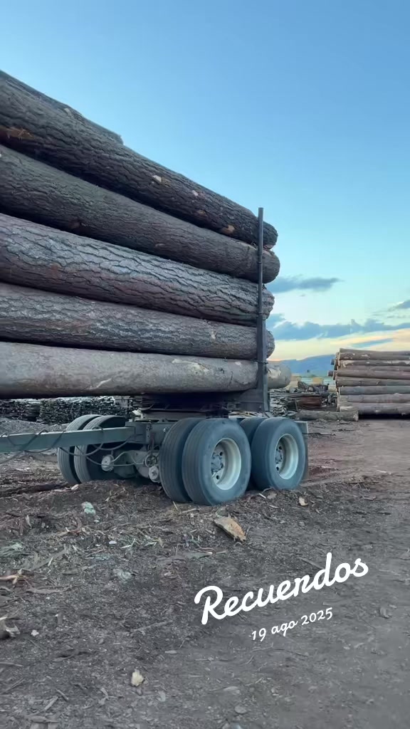 @Chihuahua Trucks