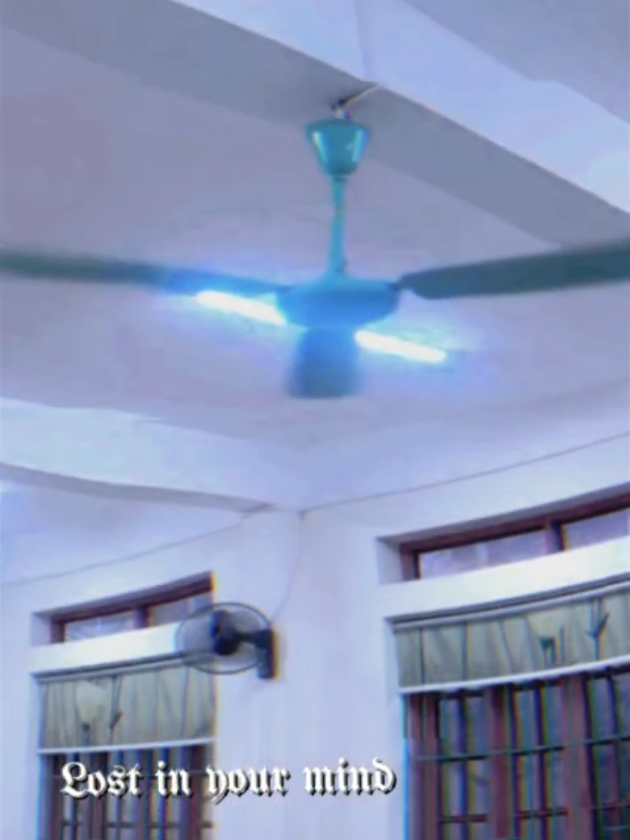 @ceiling fan is vietnam