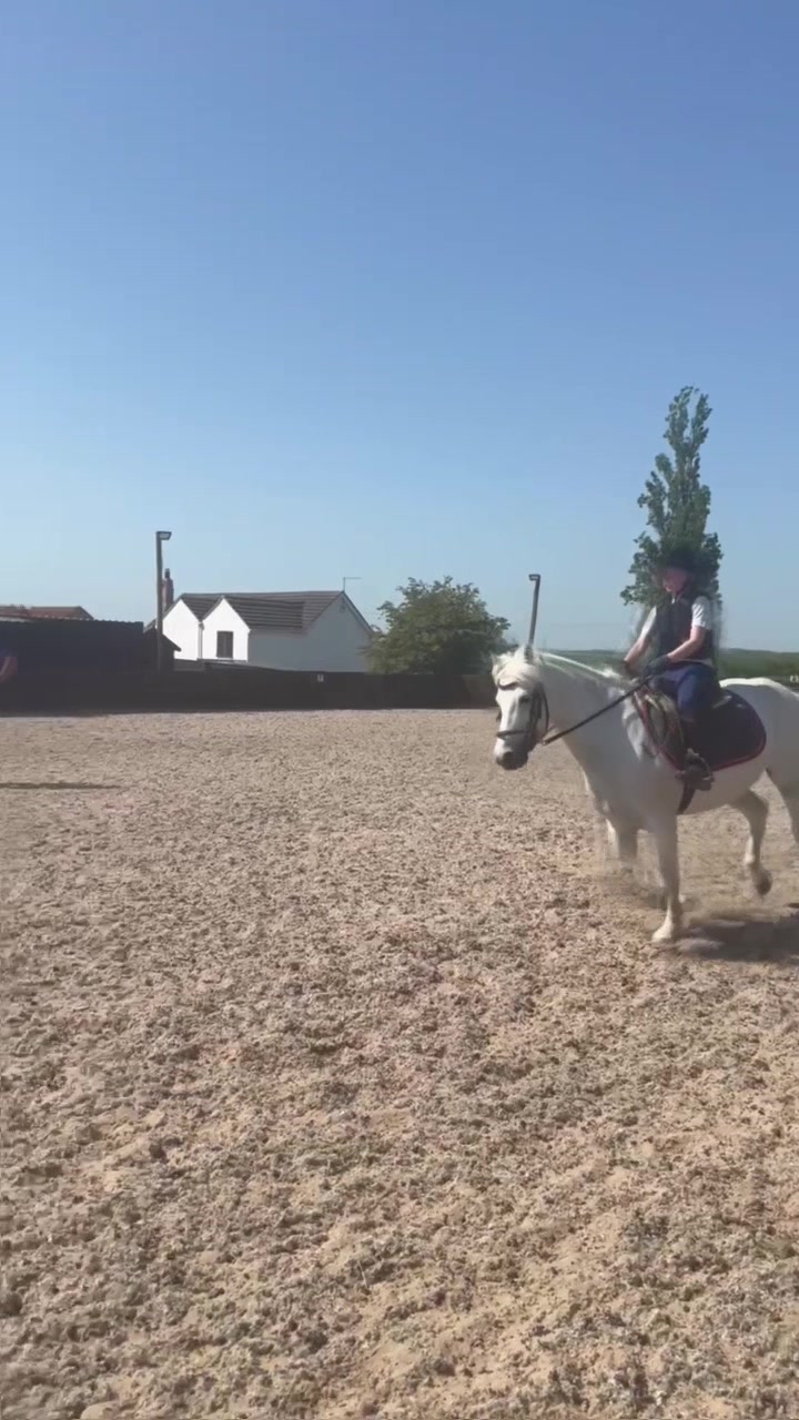 @LottiesHorseAdventures🦄🐴