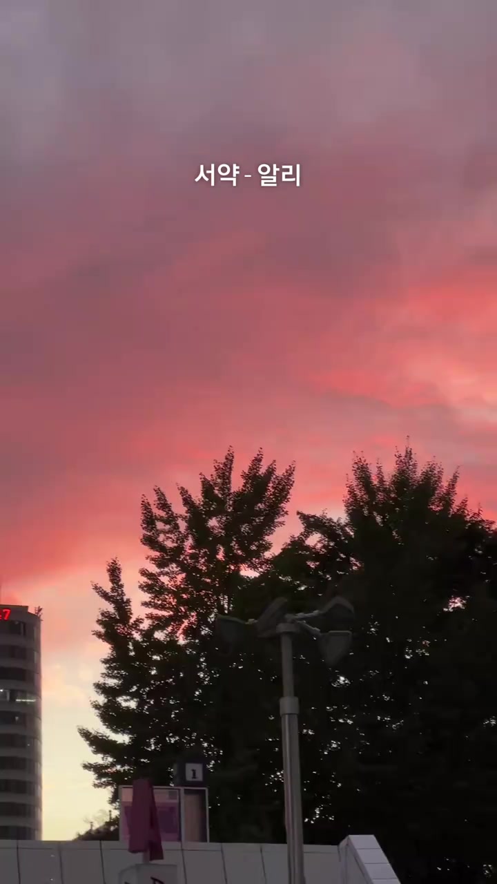 @송화찌