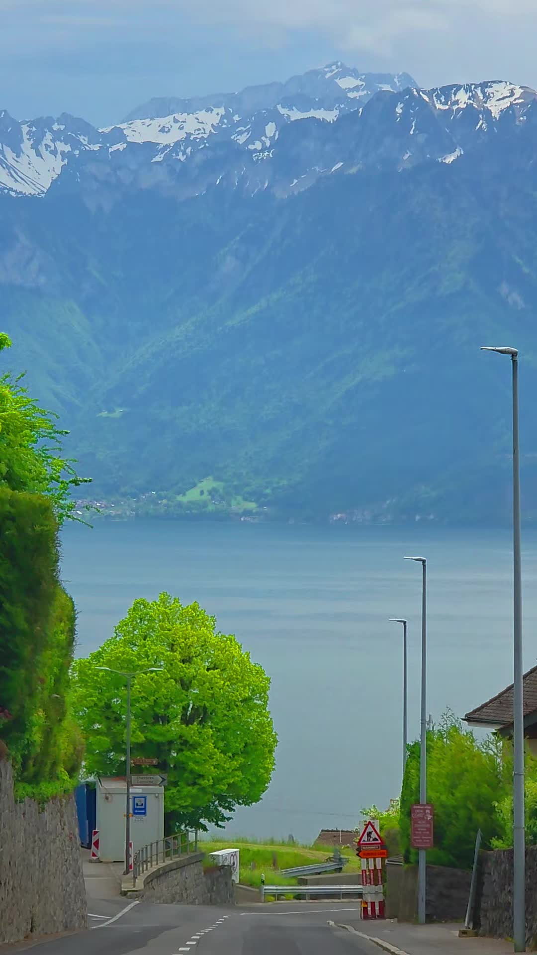 @🇨🇭flores Sérgio 🇵🇹
