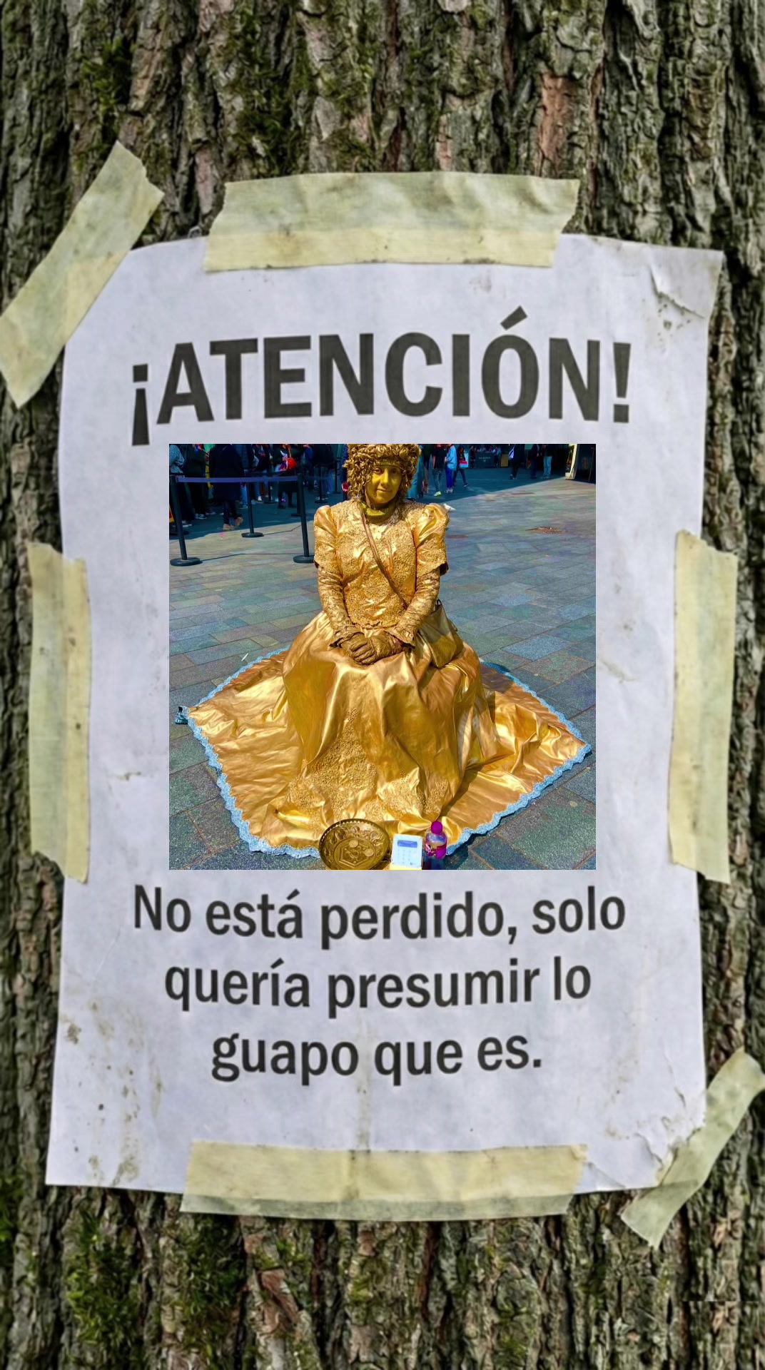 @Gold Lady