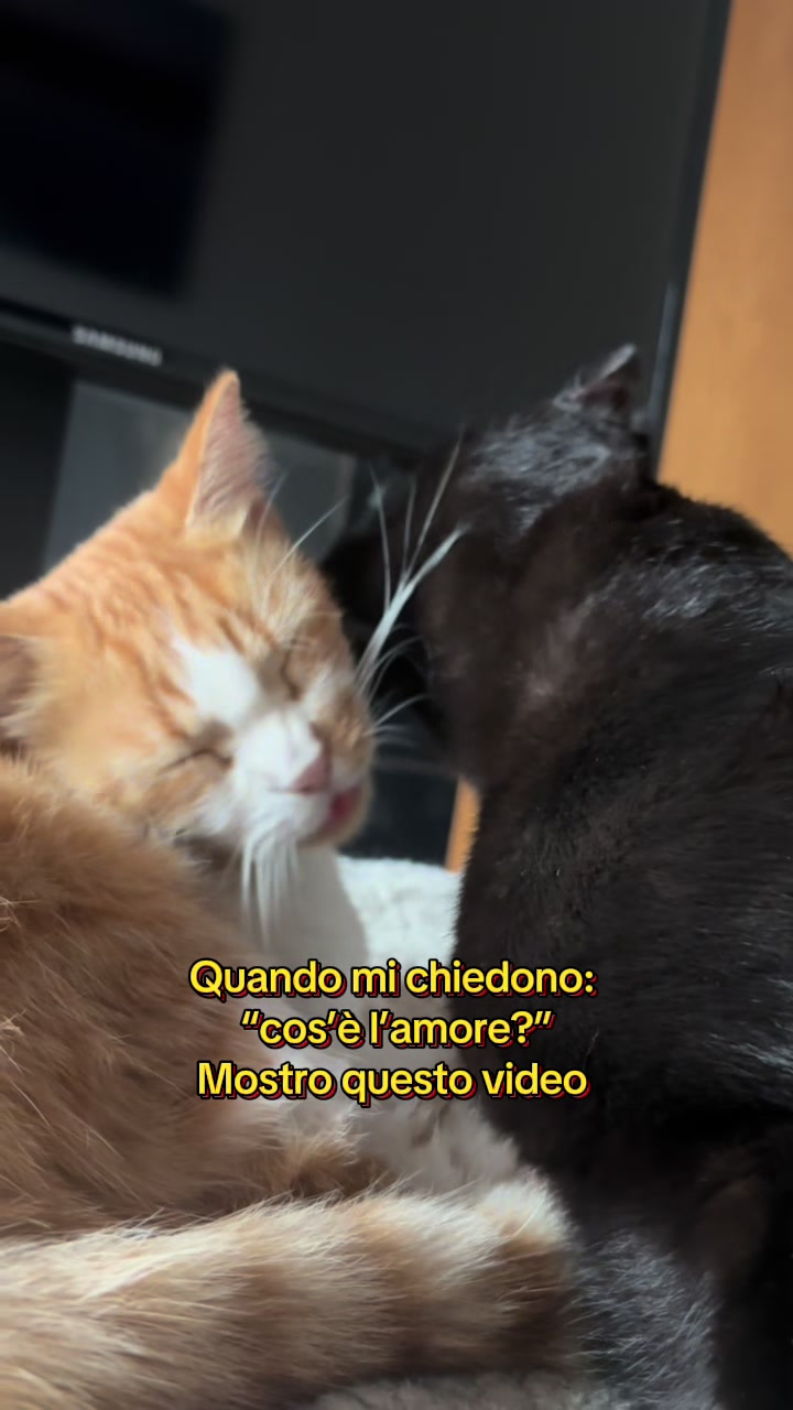 @Family_pelosa🐱🐰🐶🐮