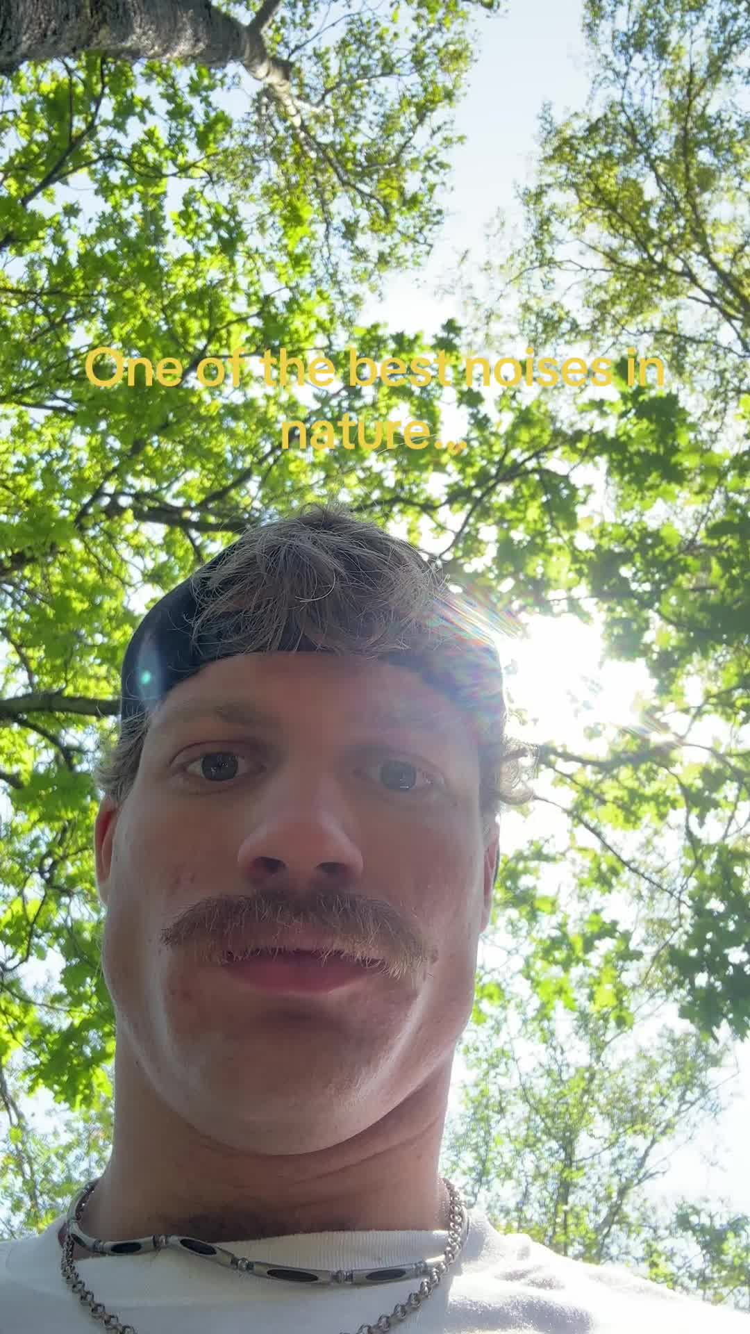 @Ned