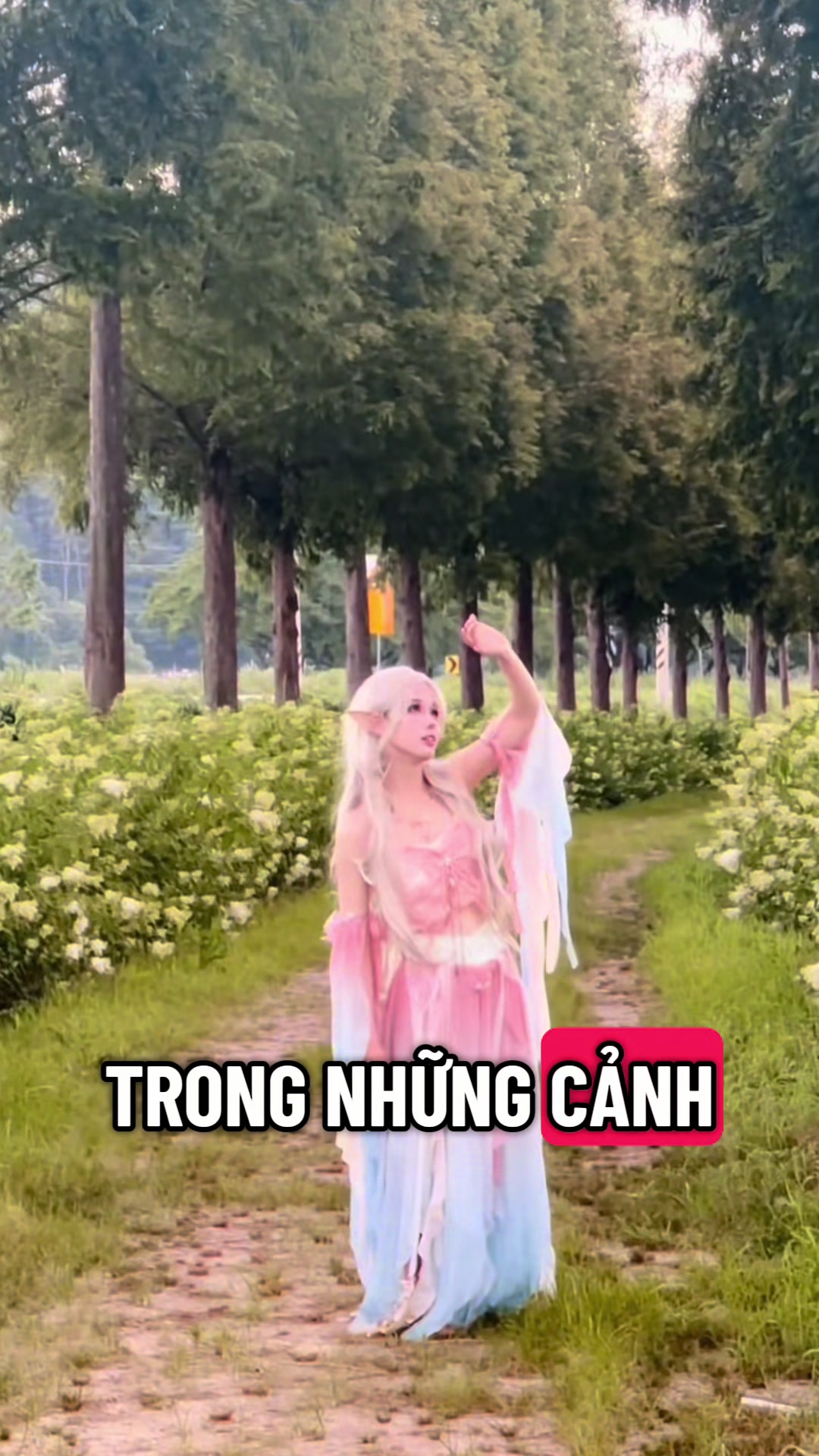 @Caroline