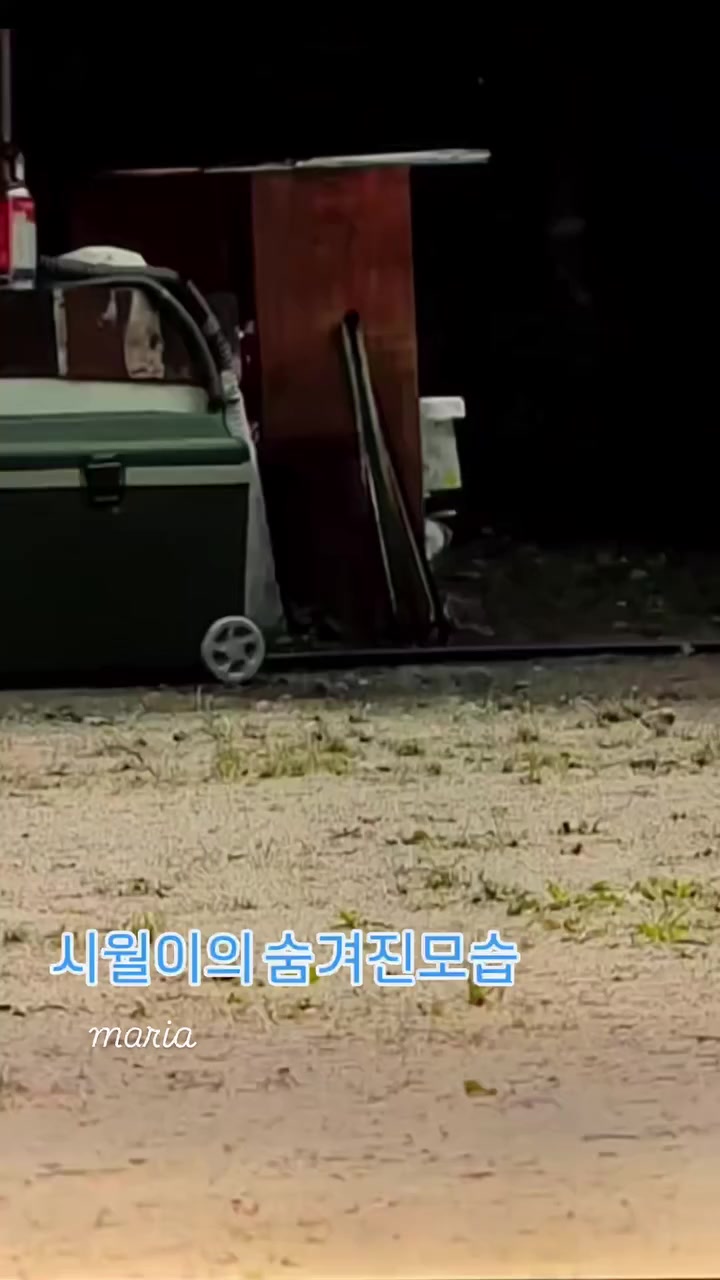 @맘껏웃어요